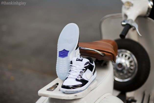 nike-dunk-sb-concord9