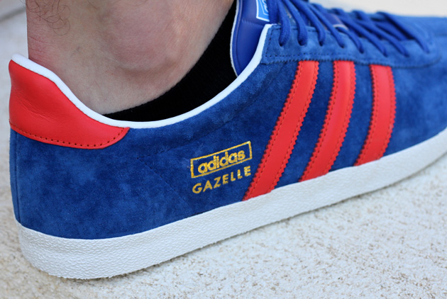 gazelle bleu et jaune