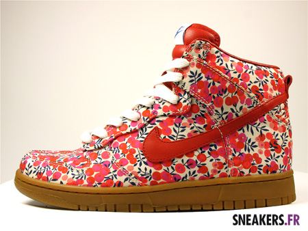 Nike dunk Liberty