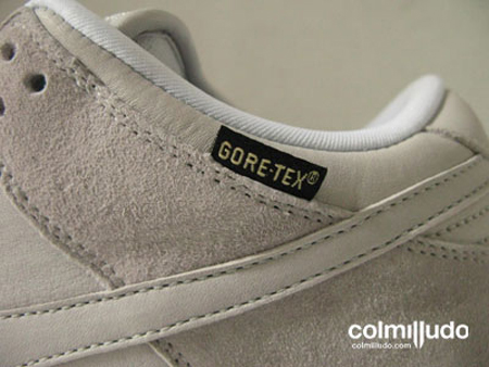 Nike Dunk sb Gore Tex