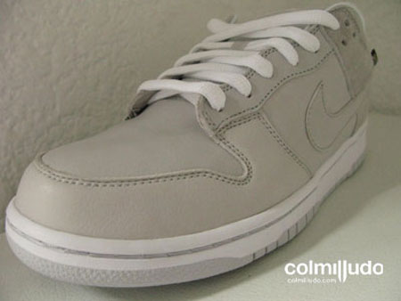Nike Dunk sb Gore Tex