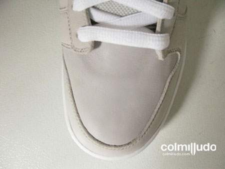 Nike Dunk sb Gore Tex