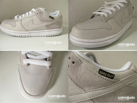 Nike Dunk sb Gore Tex