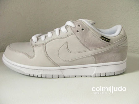 Nike Dunk sb Gore Tex