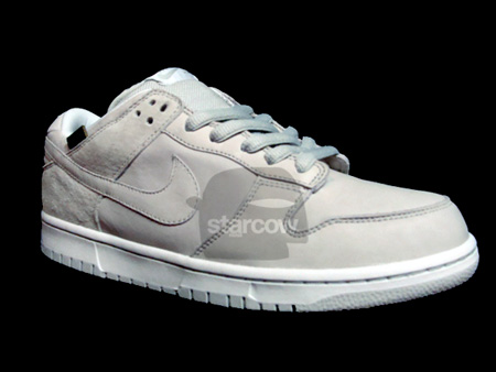 Nike Dunk SB Gore Tex