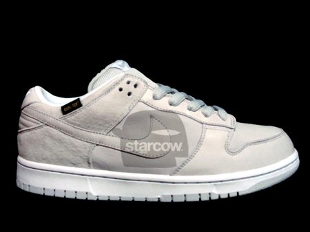 Nike Dunk SB Gore Tex