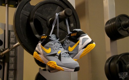 Nike Air Trainer Max ’913