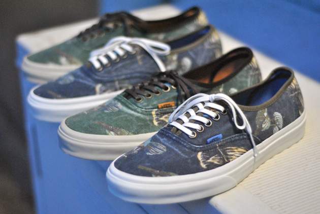 vans authentic california birds