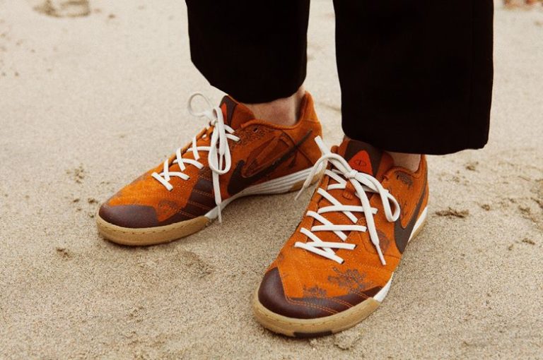 nike sb x poler