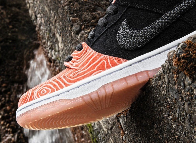 nike sb fish ladder premier-2