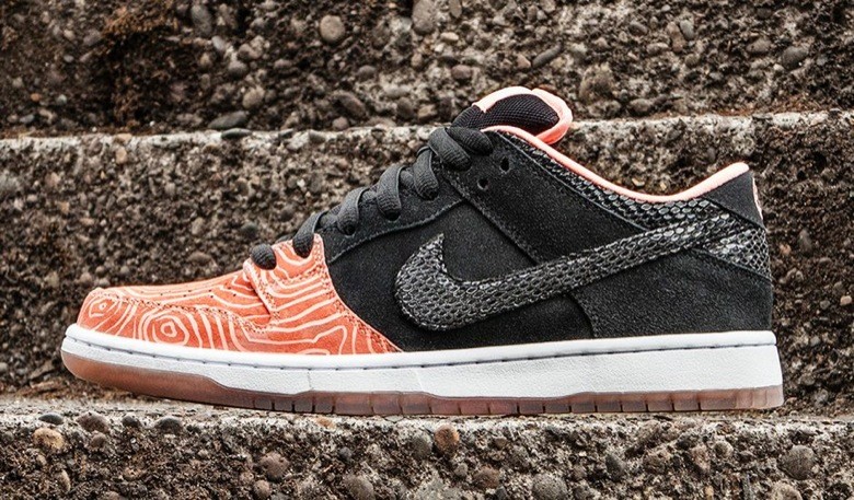 nike sb fish ladder premier-3