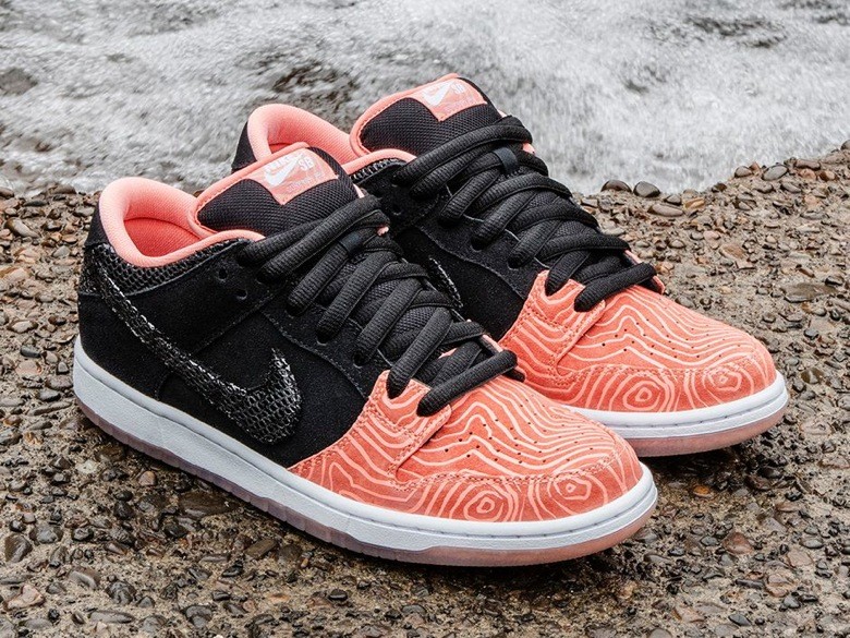 nike sb fish ladder premier-4