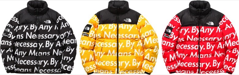 supreme the north face 2015-13