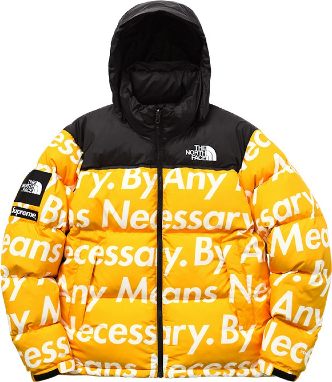 supreme the north face 2015-14