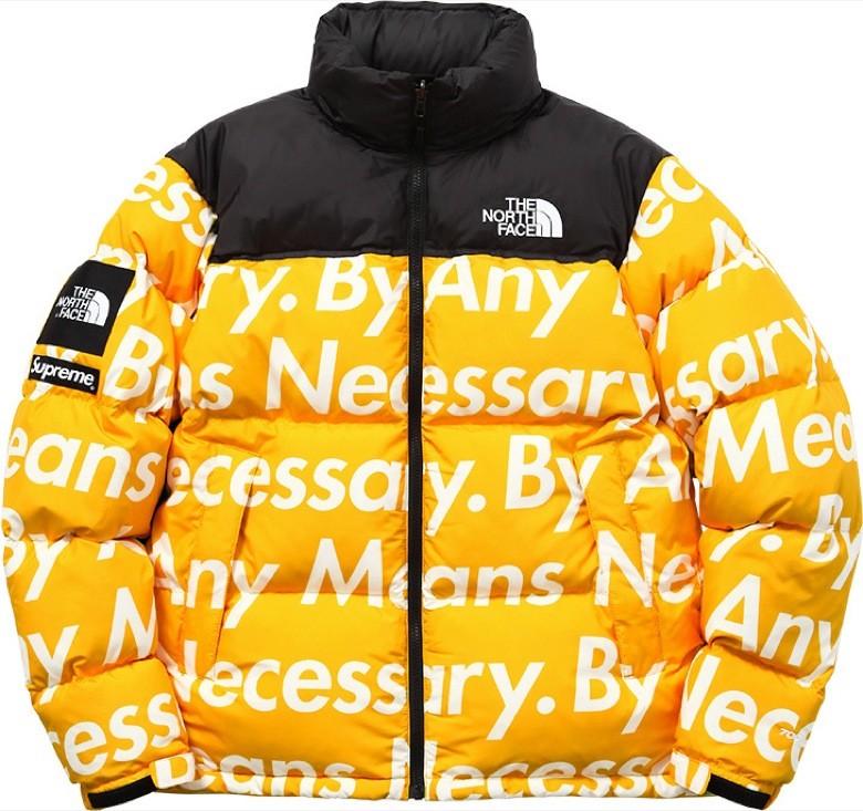 Supreme x The North Face Hiver 2015 Sneakers