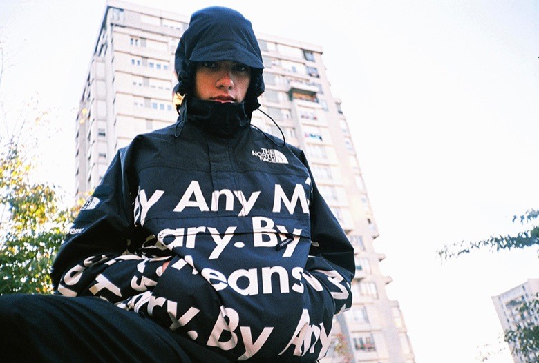 supreme the north face 2015-24