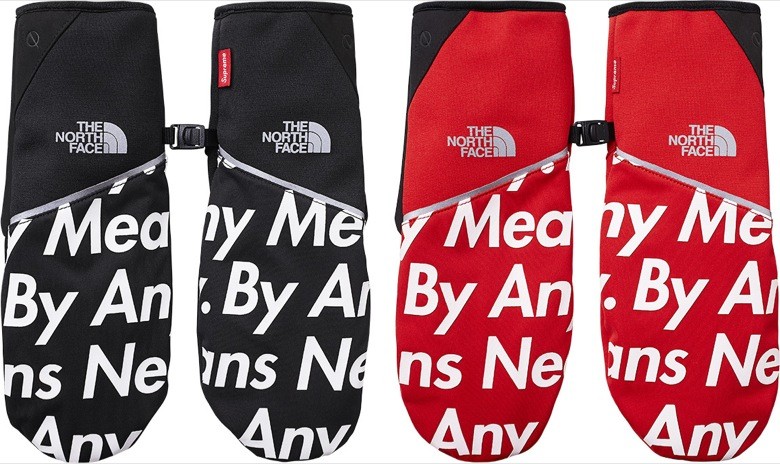 supreme the north face 2015-4