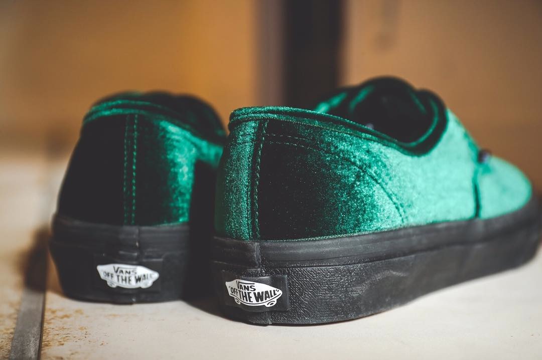 Vans shop en velours