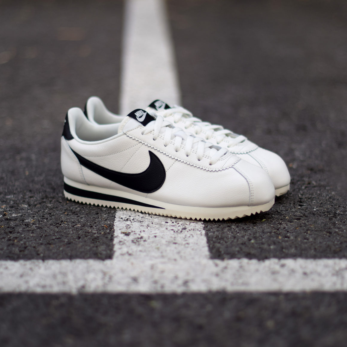 من الناحية المثالية دم دفع chien nike cortez - electricite ... من الناحية المثالية دم دفع chien nike cortez - electricite ...