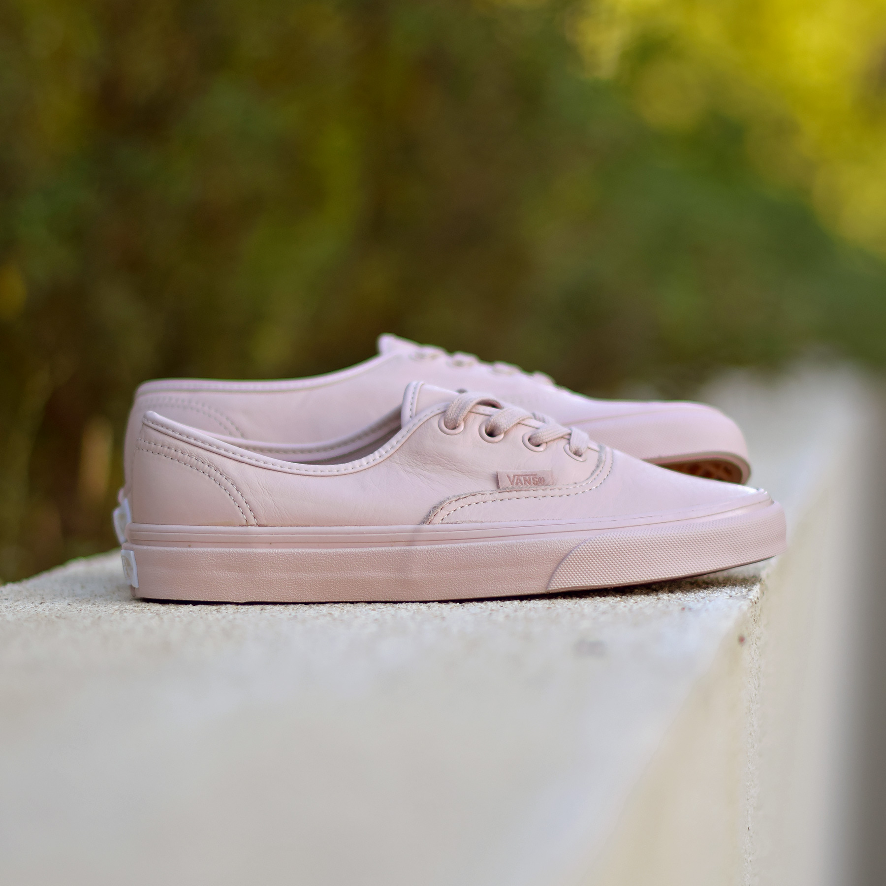 vans authentic pastel sneaker rose