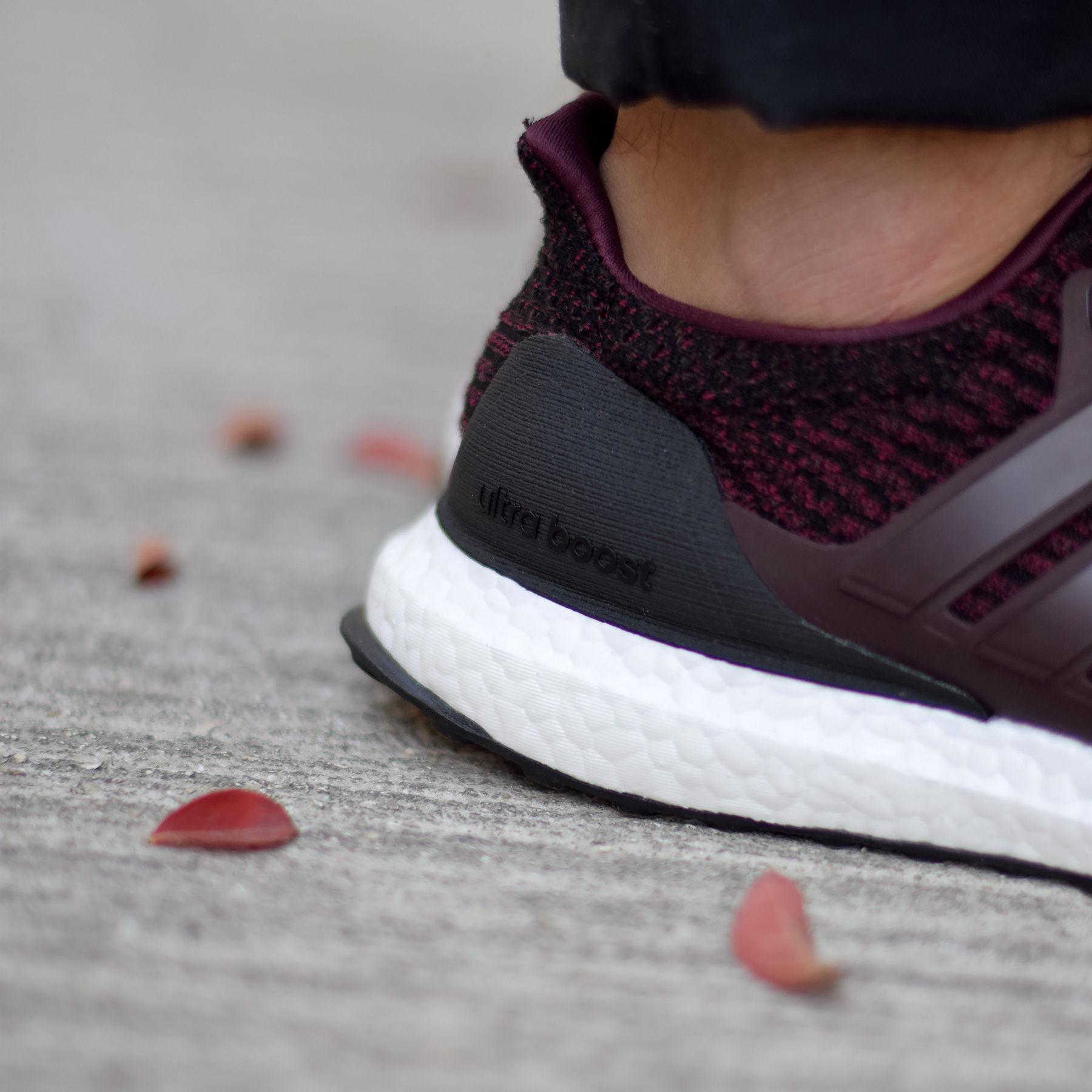 adidas ultra boost bordo