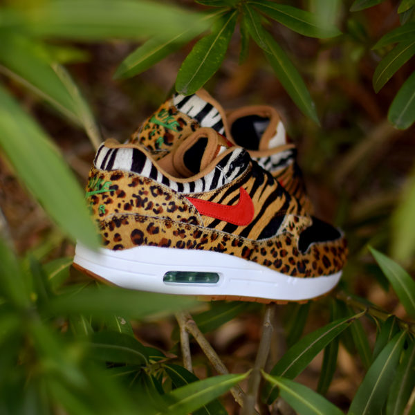 atmos animal pack nike