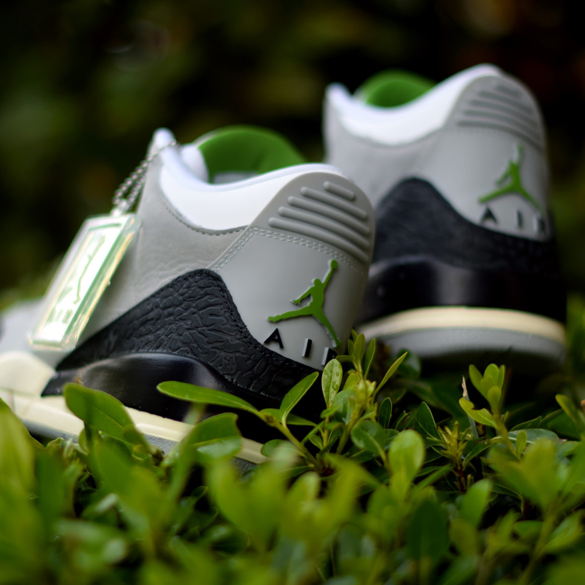 Air Jordan 3 Chlorophyll