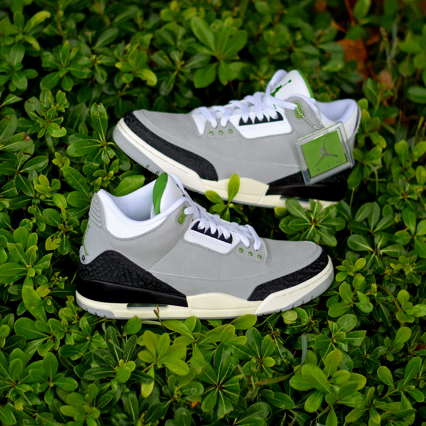 Air Jordan 3 Chlorophyll