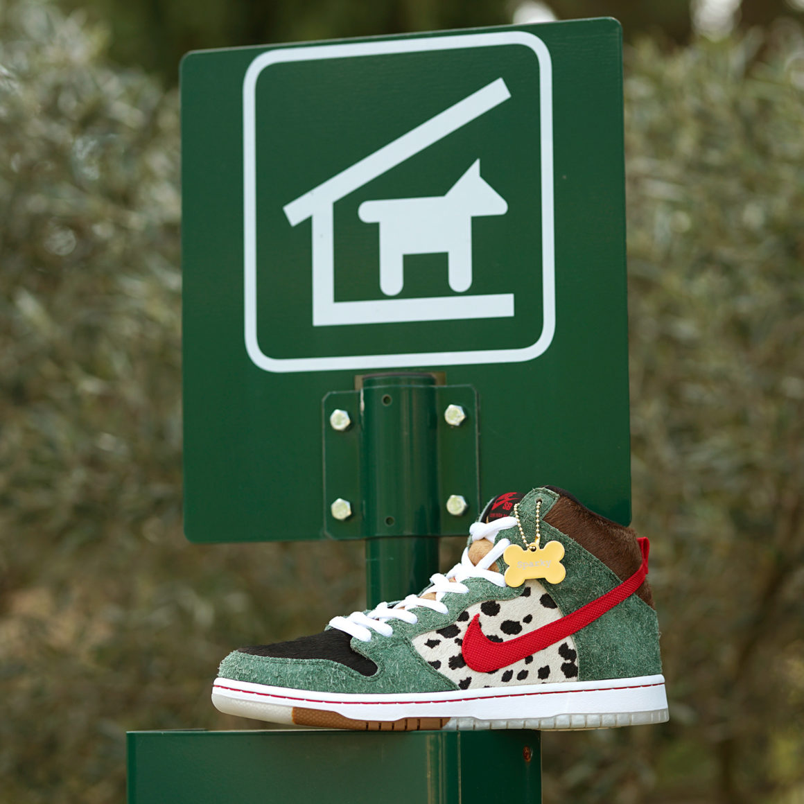 nike sb walk the dog where to buy