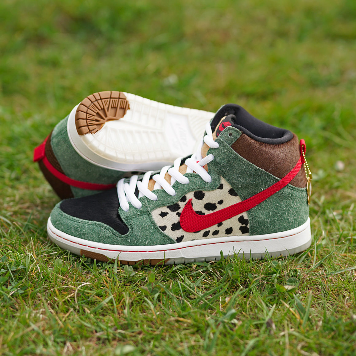 walk the dog sb dunk