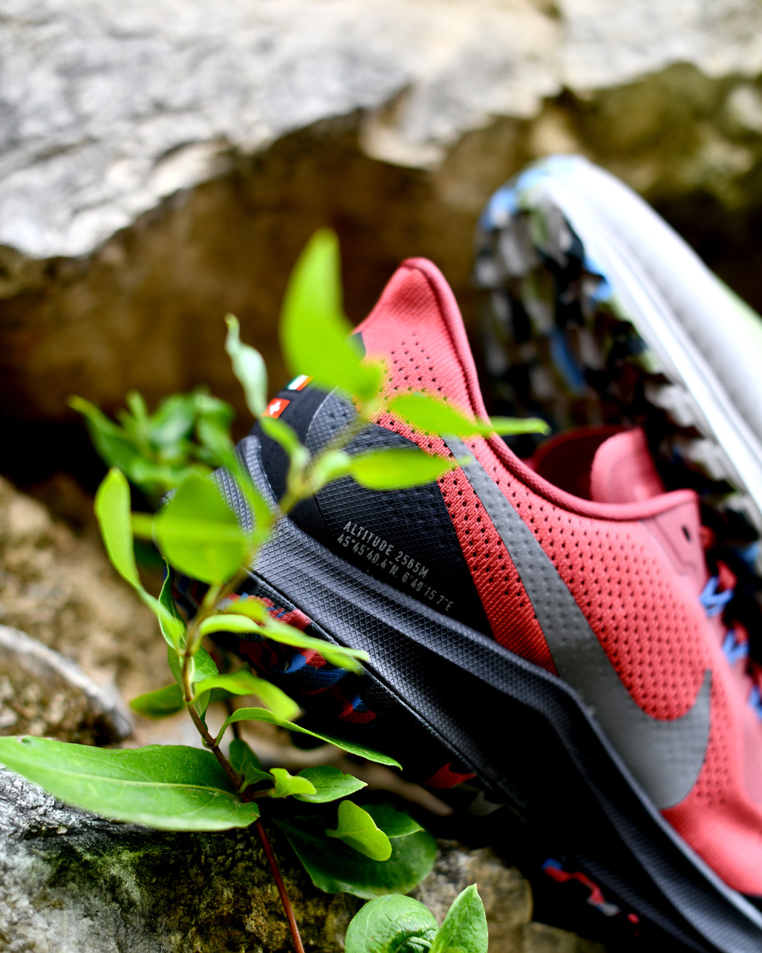 nike-pegasus-trail-mont-blanc-edition-sneakers-fr