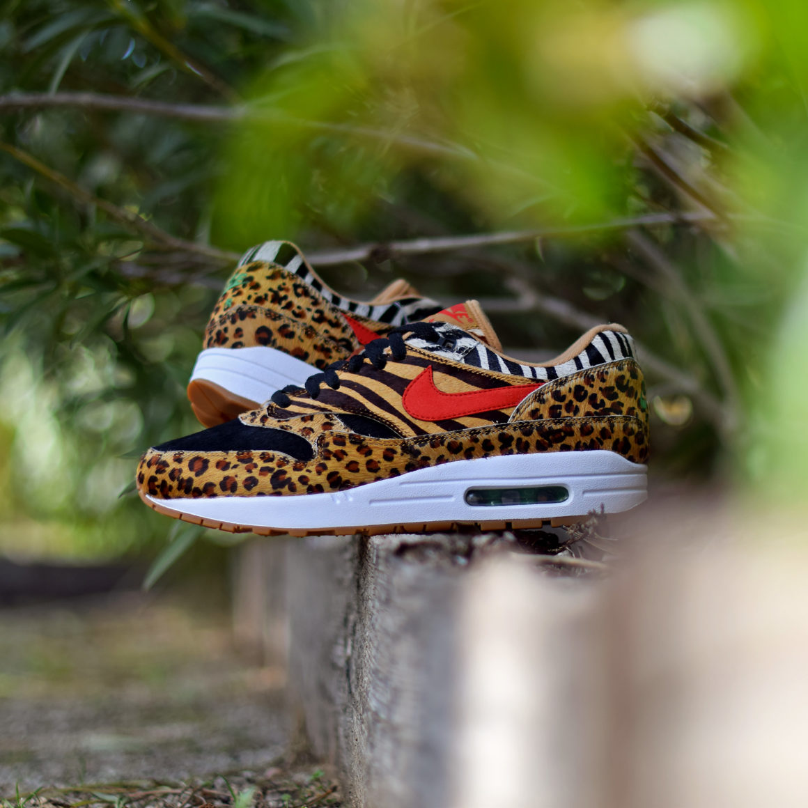 Cadre Nike Air Max 1 Atmos Elephant