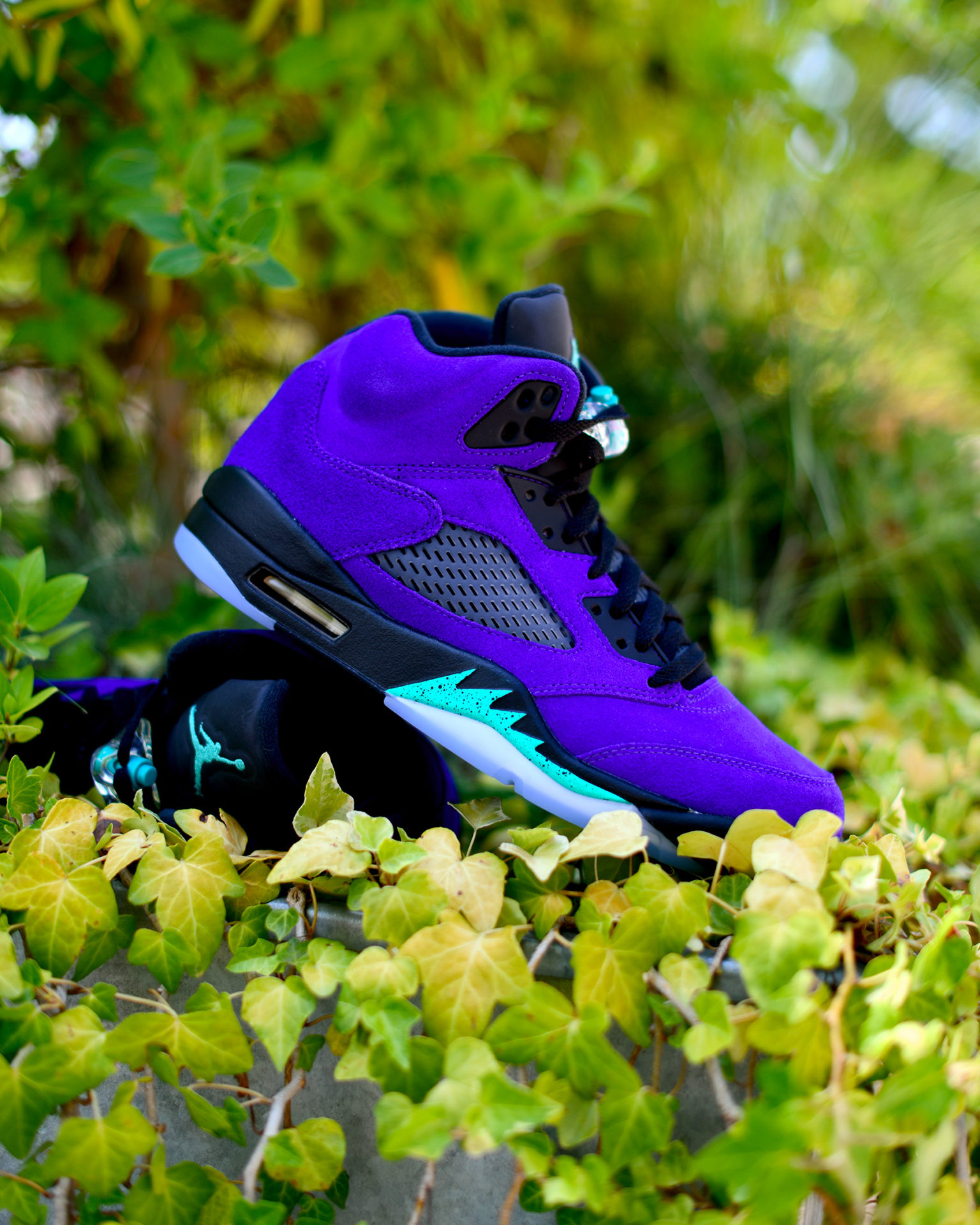 where to buy jordan 5 alternate grape