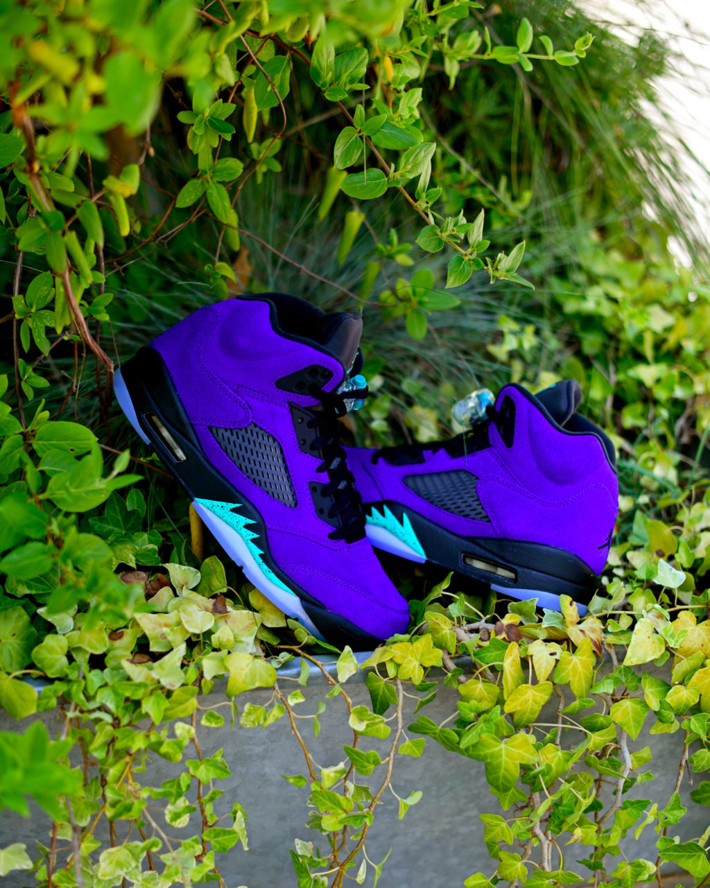 Air Jordan 5 Alternate Grape