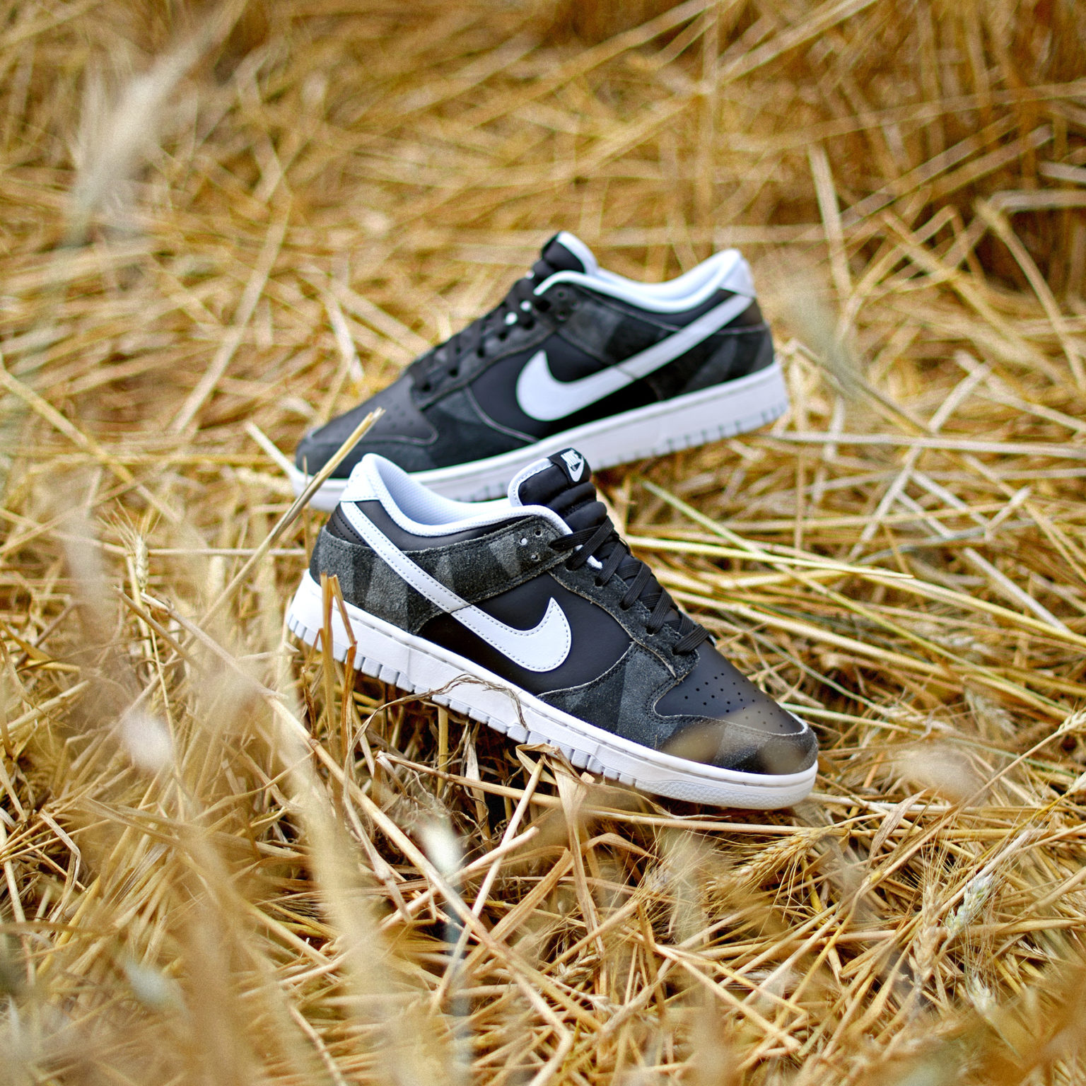 nike zebra dunk low