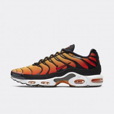 Nike Air Max Plus Sneakers