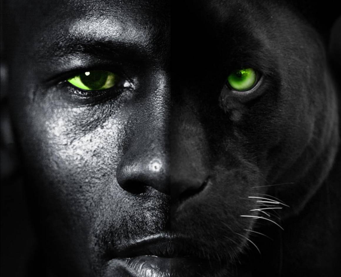 Michael jordan black cat 2025